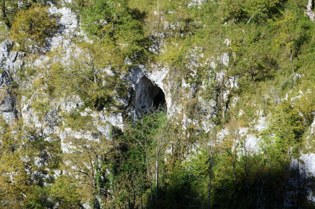 Le Gite Des Mousquetaires Lanne-en-Baretous Εξωτερικό φωτογραφία